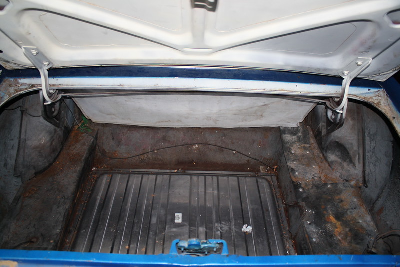 Mustang Project photo 2