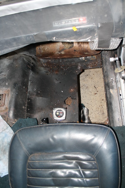 Mustang Project photo 5