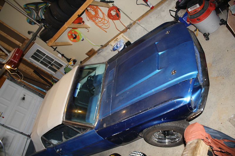 Mustang Project photo 7