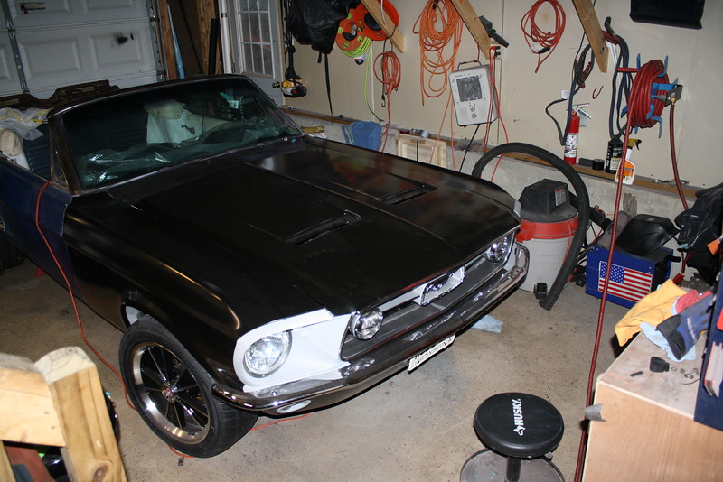 Mustang Project photo 12
