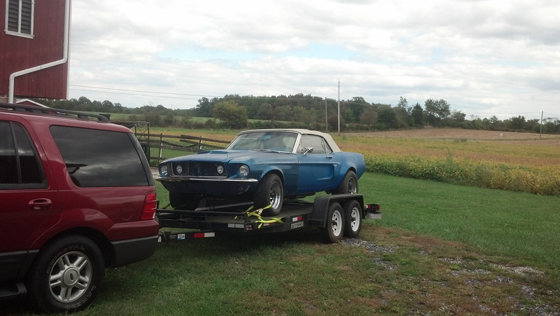 Mustang Project photo 13