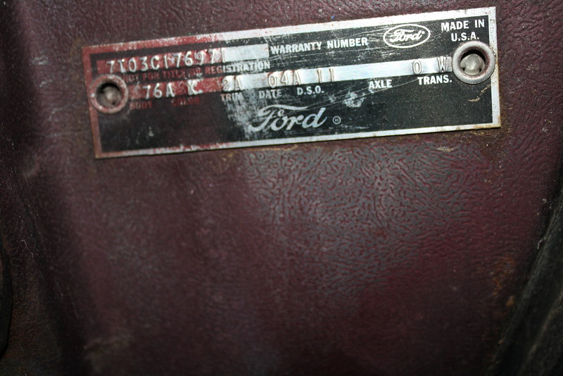 Mustang Project photo 17
