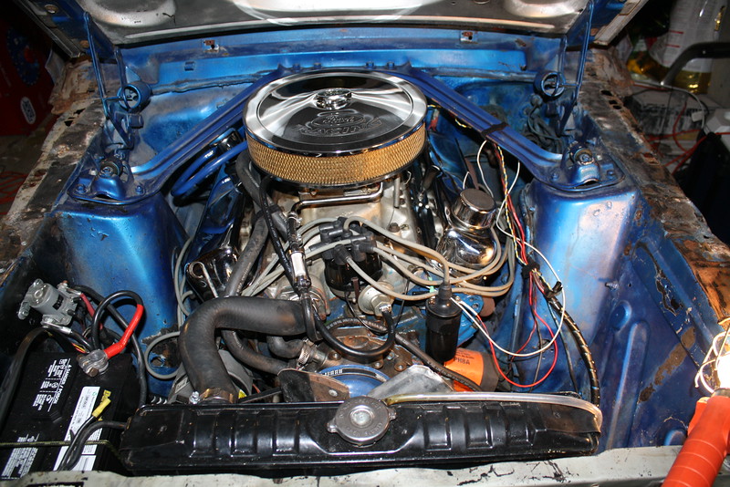 Mustang Project photo 18