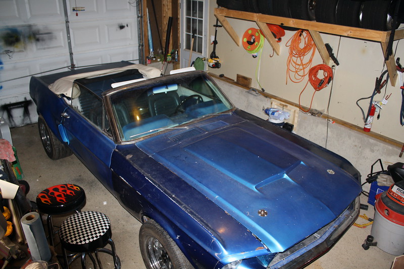 Mustang Project photo 21