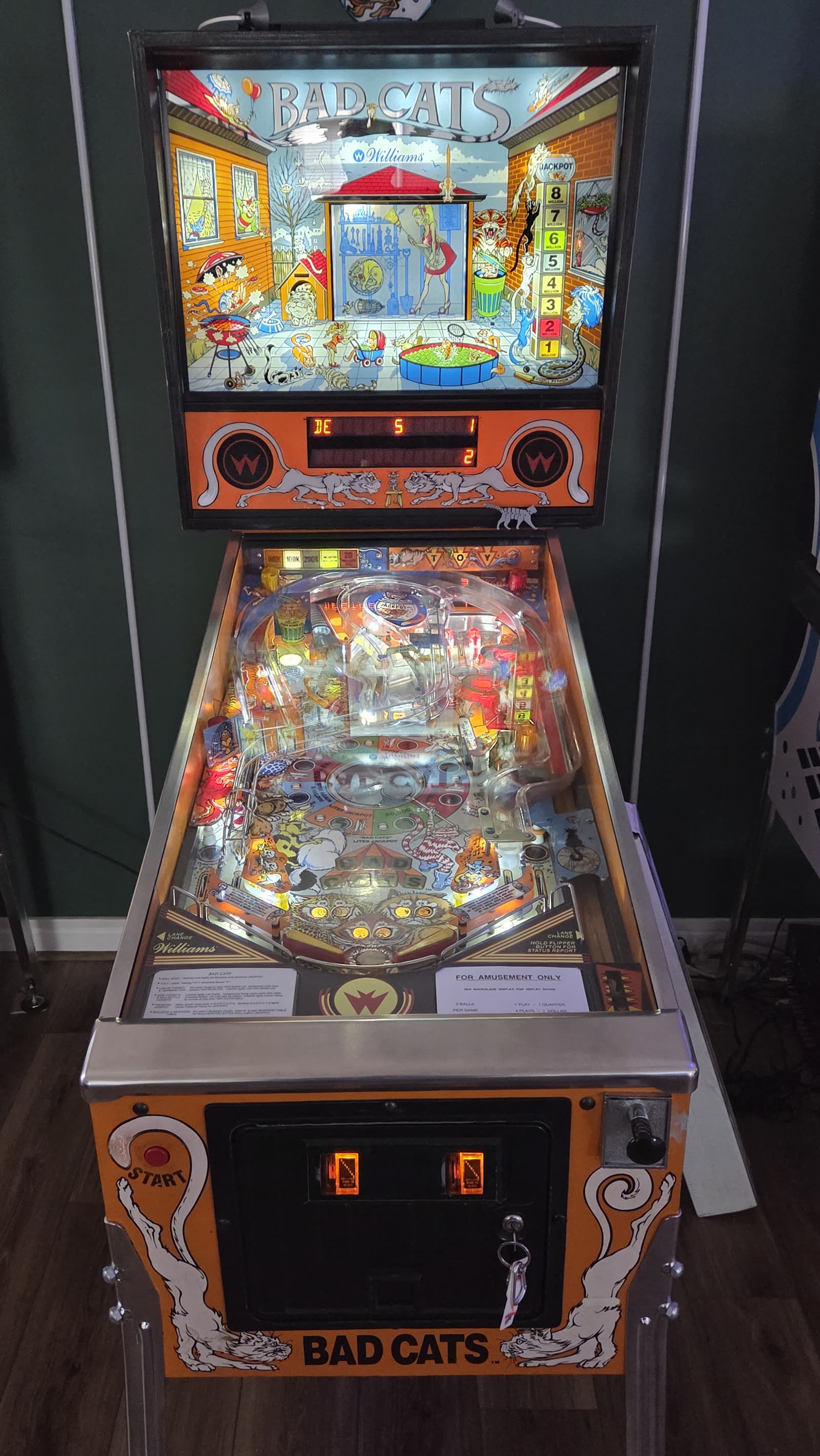 Pinball photo 12